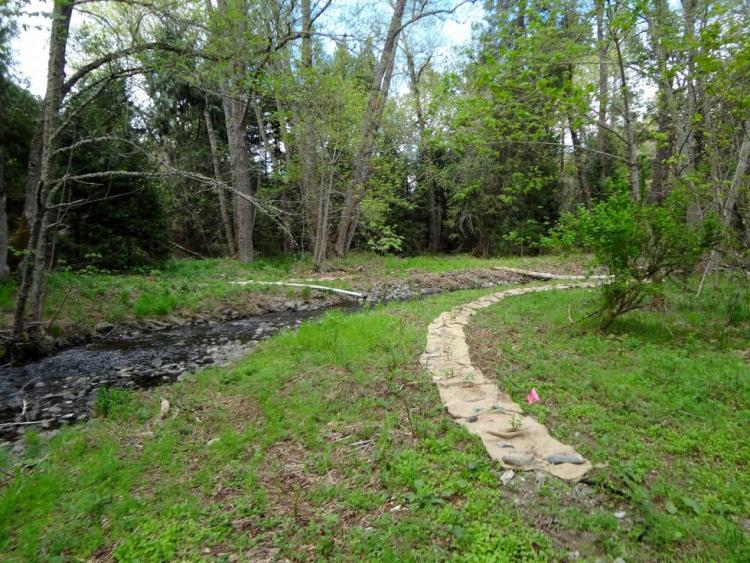 Applegate Partnership project on Thompson Creek after restoration work began