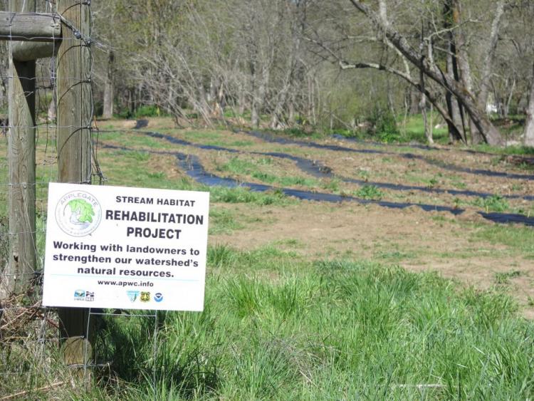 Applegate Partnership project on Thompson Creek showing plantings