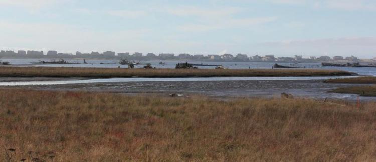 Siletz Bay