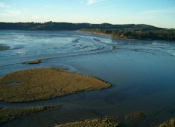 Alsea Estuary