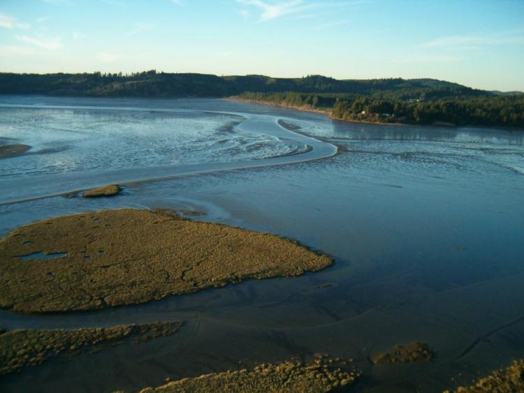 Alsea Estuary