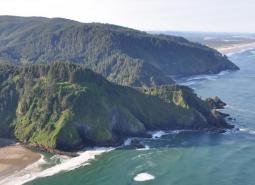 Heceta Head