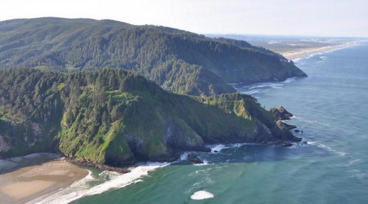 Heceta Head