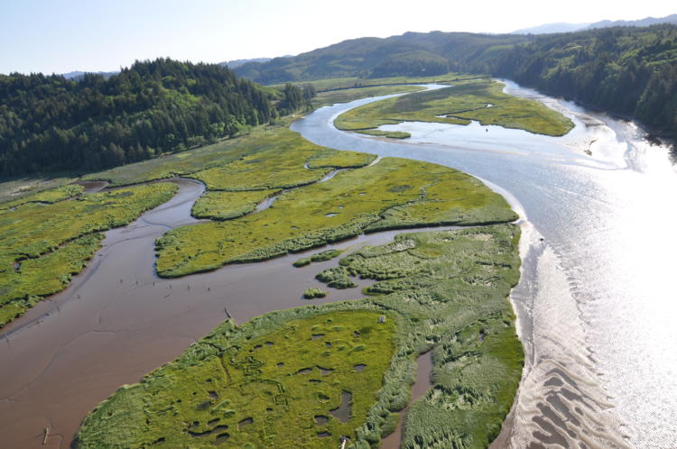 Floodplain of the North Fork Siuslaw River, Oregon.