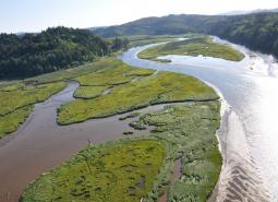 North Fork Siuslaw River