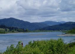 a wide river flows through a forested landscape on an overcast day.