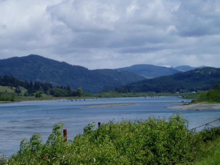 a wide river flows through a forested landscape on an overcast day.