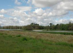 Sauvie Island