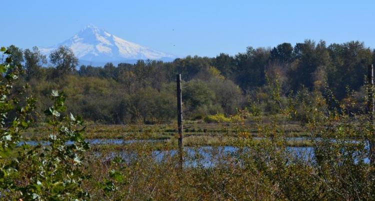 Smith-Bybee Lakes and Columbia Slough area