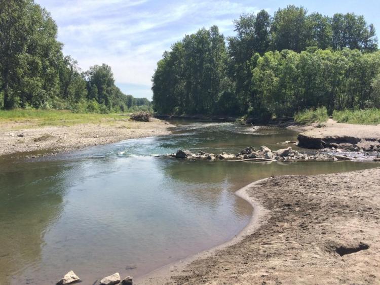 Lower Sandy River