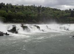 Willamette Falls