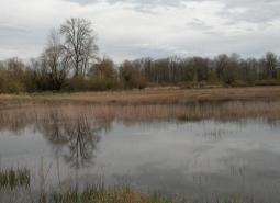 Upper Willamette River Floodplain