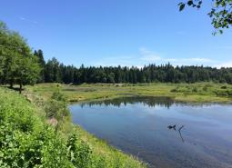 Clackamas River Area