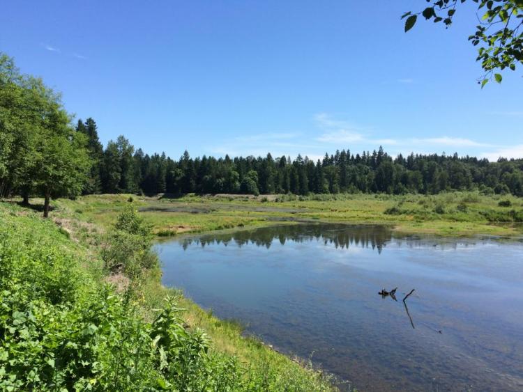 Clackamas River Area