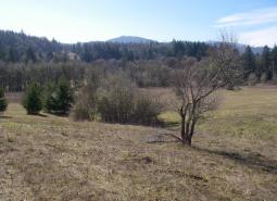 Kings Valley Oak Woodlands