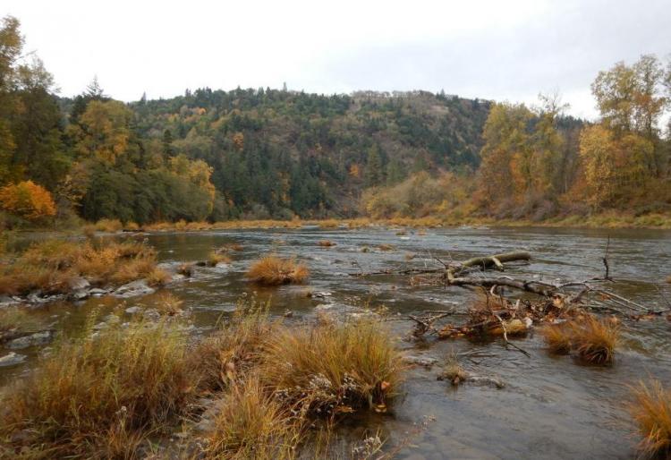 North Umpqua River area