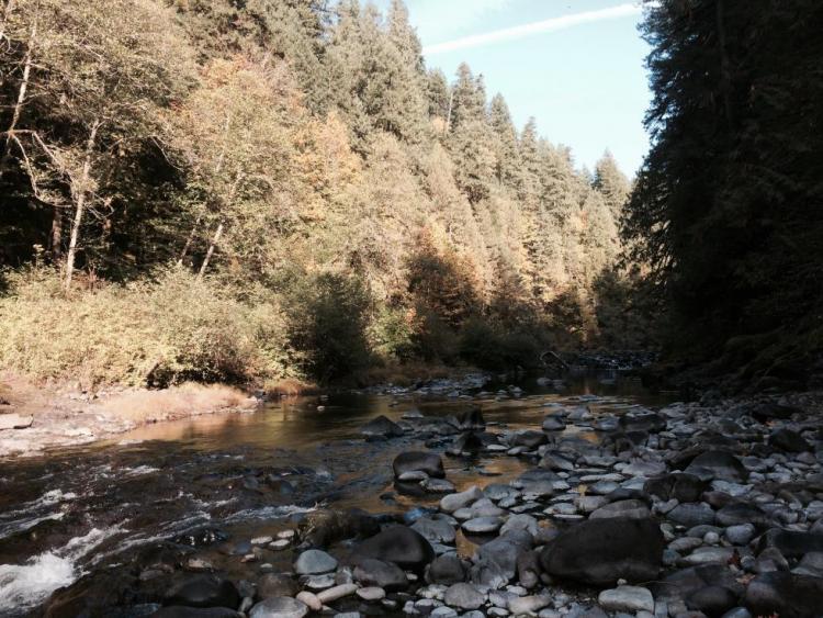 Little North Santiam River