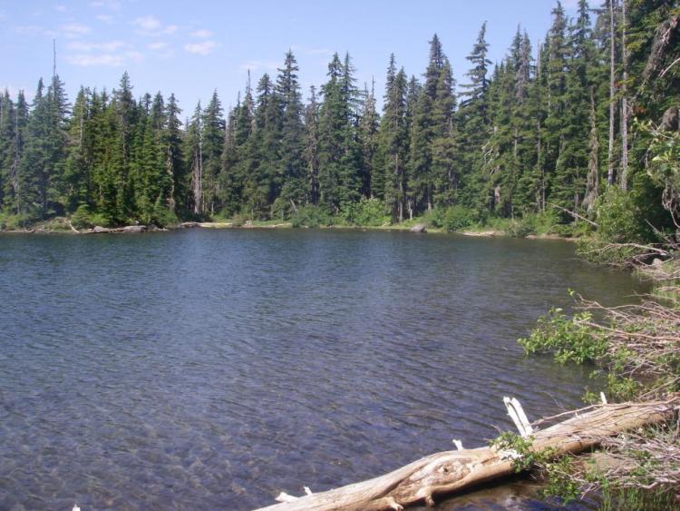 Mt Jefferson Wilderness, North area