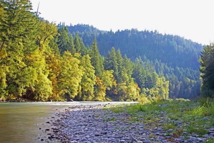 Middle Fork Willamette River