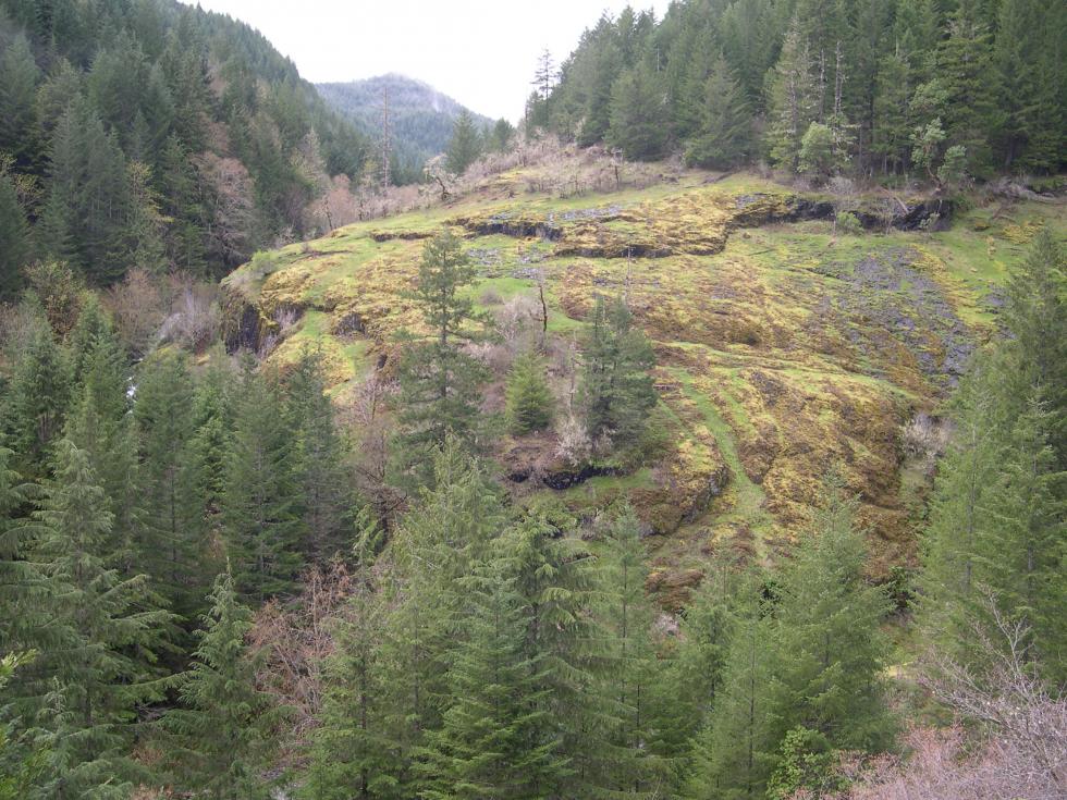 Rock Creek Oregon Conservation Strategy