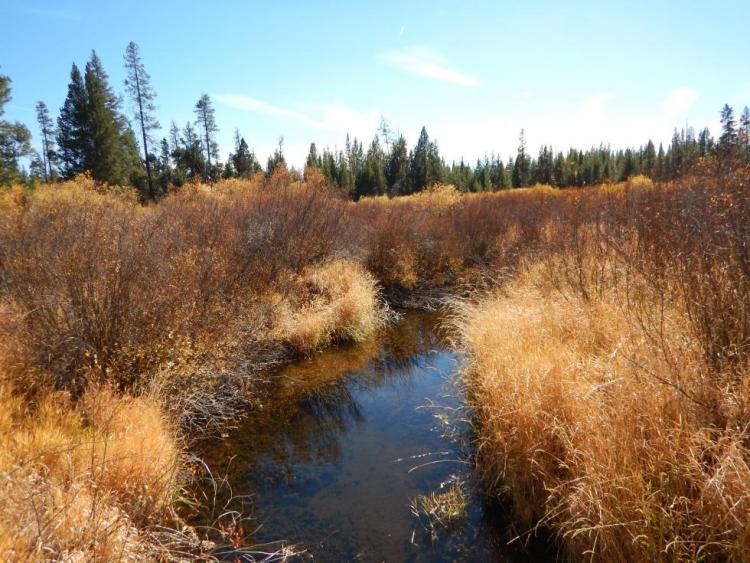 Little Deschutes River