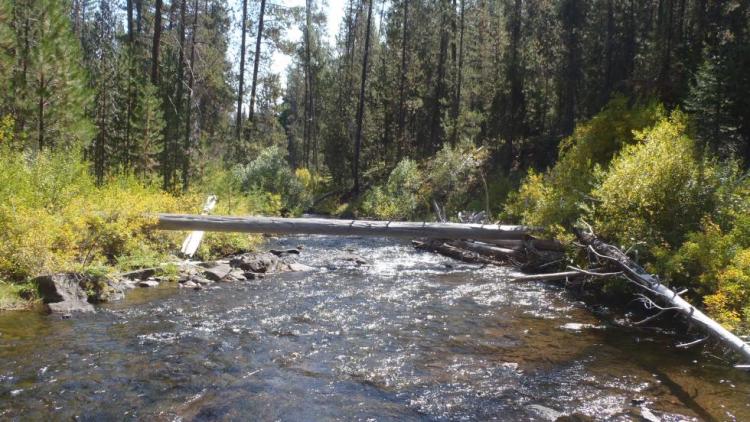 Long Creek/Coyote Creek/Silver Creek area