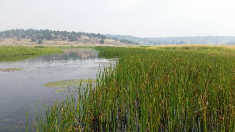 Sprague River