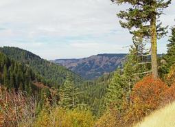 Walla Walla River headwaters area