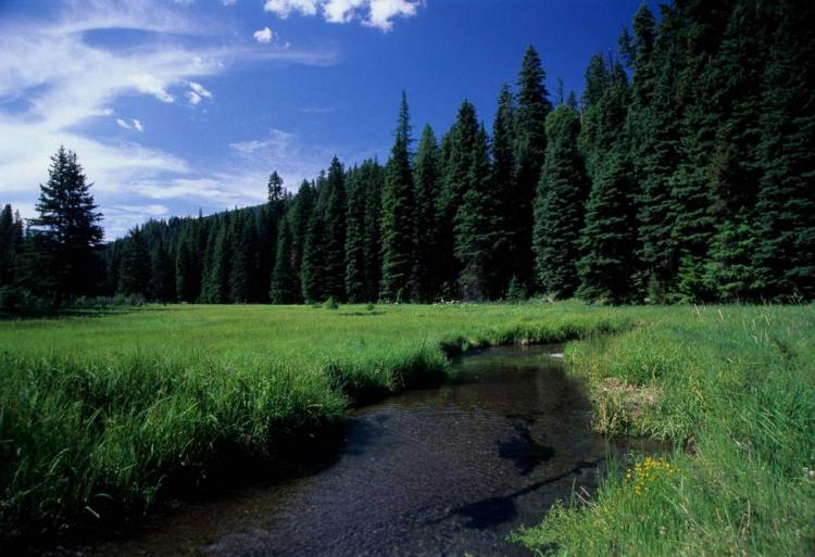 Middle Fork John Day River