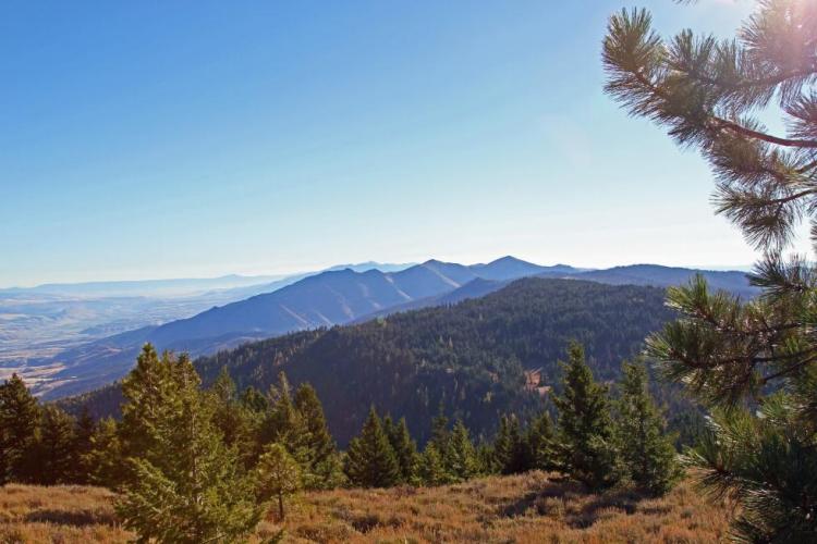 Fields Peak