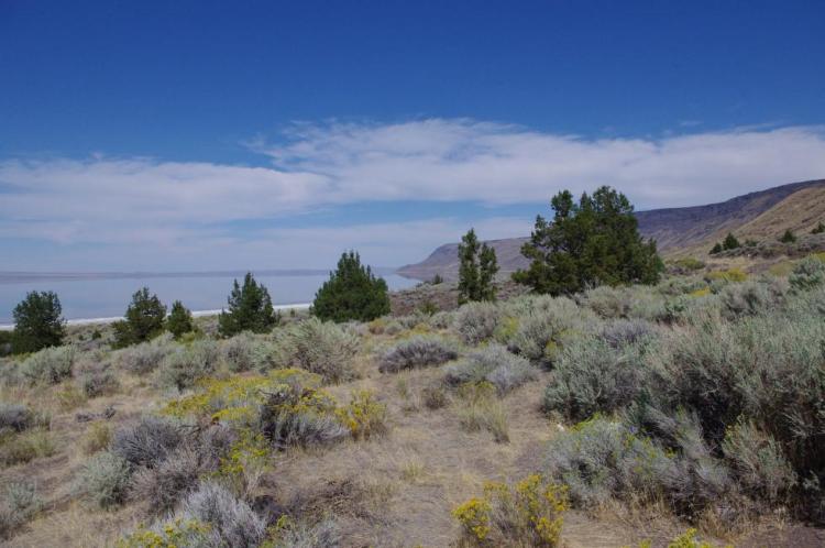 Lake Abert area