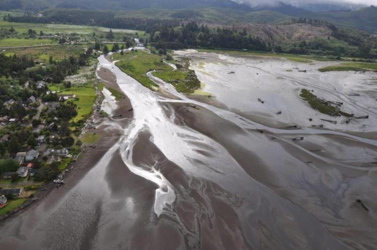 Estuary Strategy Habitat, Siletz Bay