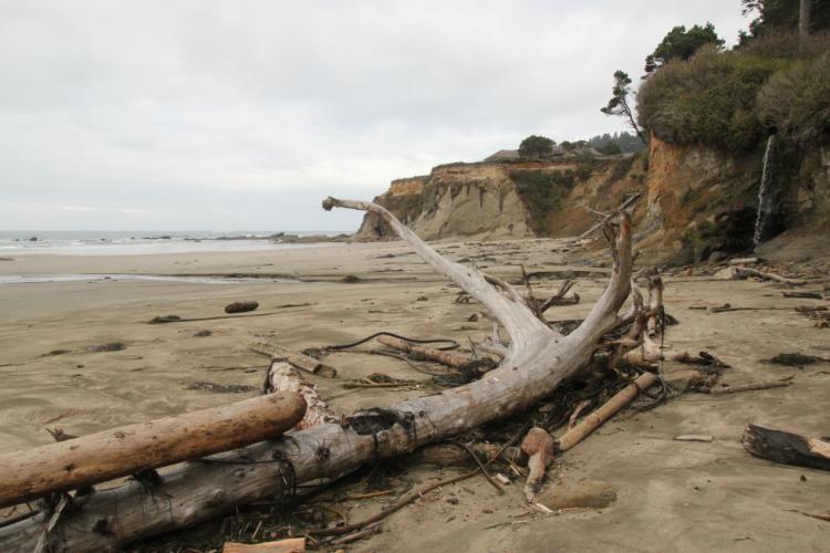 Sandy Beaches Oregon Conservation Strategy