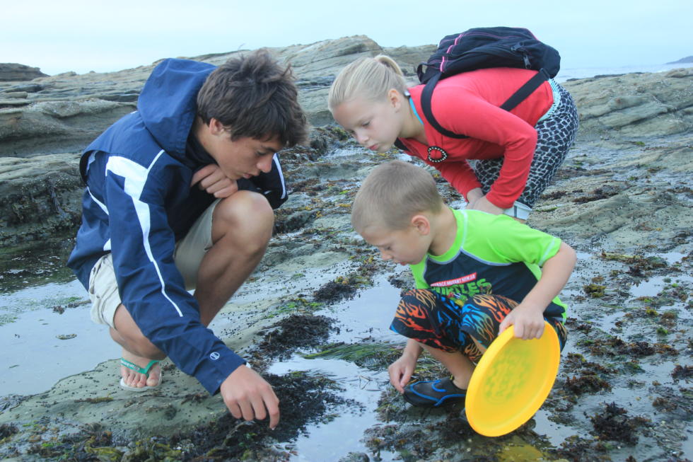 Kids exploring a tide pool.