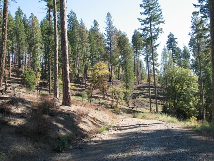 Jim's Creek area within West Cascades Ecoregion