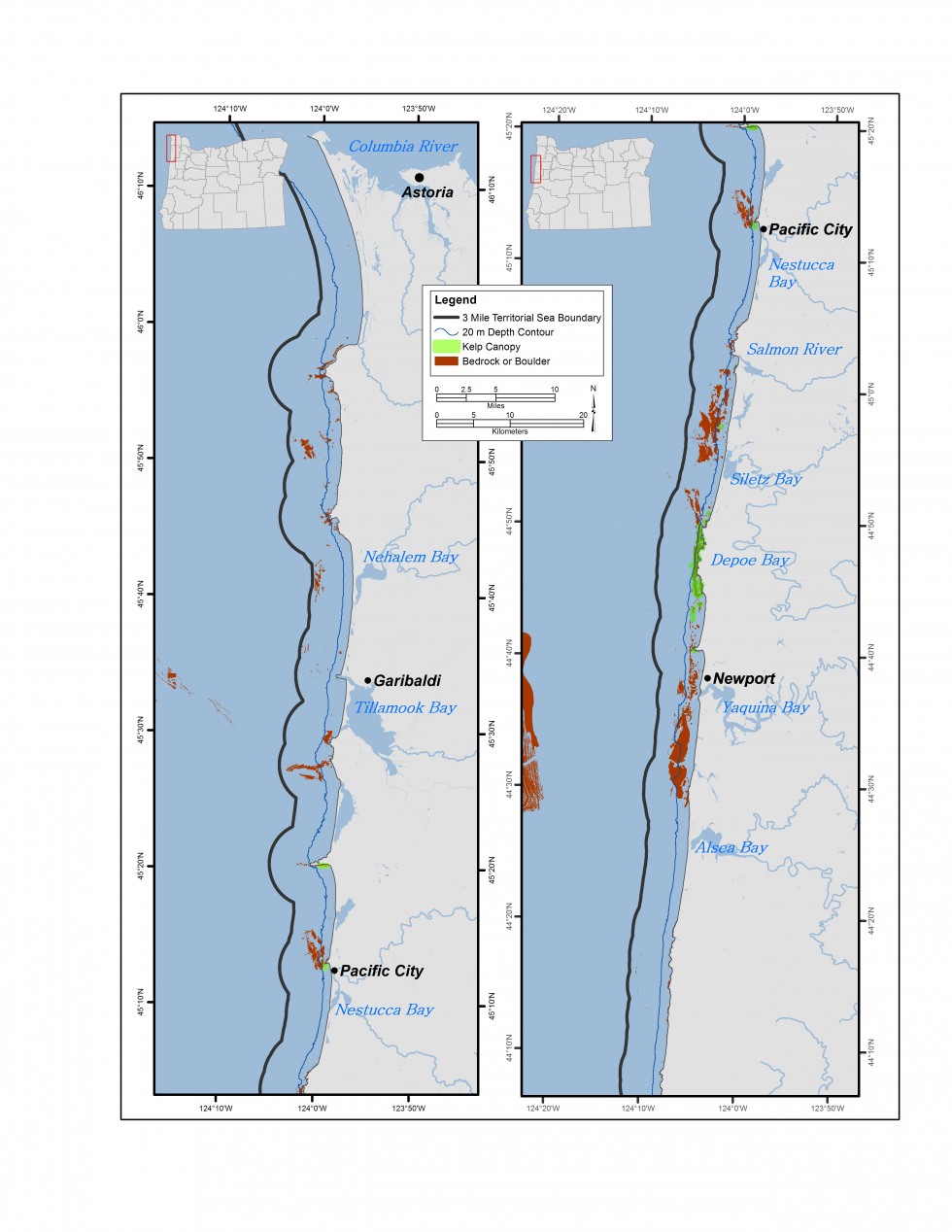 maksimal udstrækning af tang senge på den nordlige Oregon-kyst.