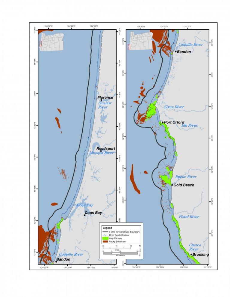 Rocky subtidal Oregon Conservation Strategy