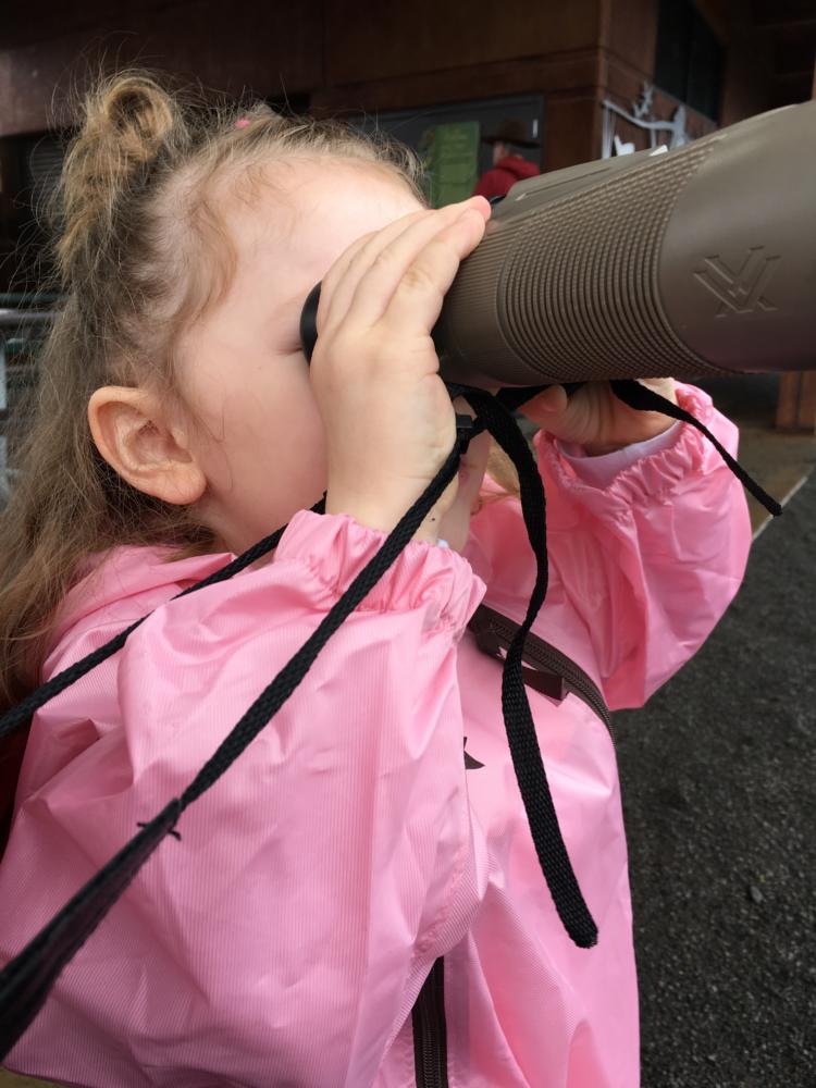 Birding at the Tualatin National Wildlife Refuge.