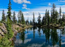 Klamath Mountains Ecoregion