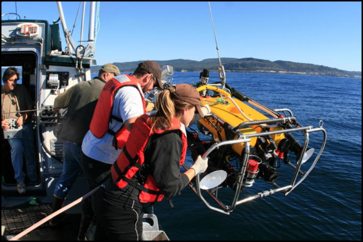 ROV being deployed.