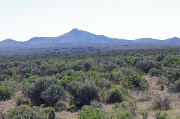 Sagebrush Habitats