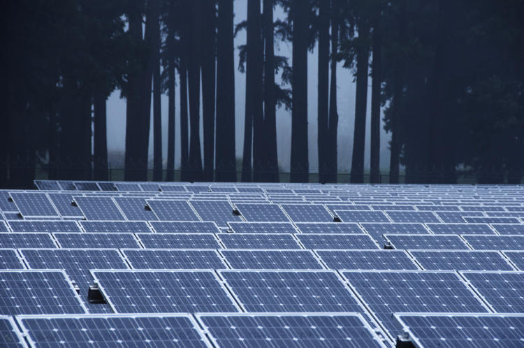Solar panels in Clackamas County, OR. 