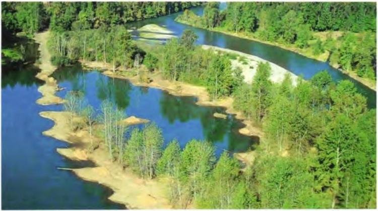 September 2014, after grading, contouring and sloping banks, connection to the Middle Fork Willamette River and installation of habitat structures